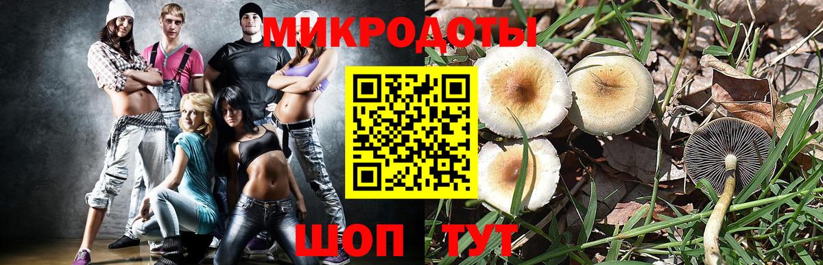 Псилоцибиновые грибы прущие грибы  Вход с VPN  купить наркотик  Грязи 
