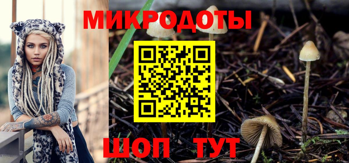 Псилоцибиновые грибы Cubensis Грязи