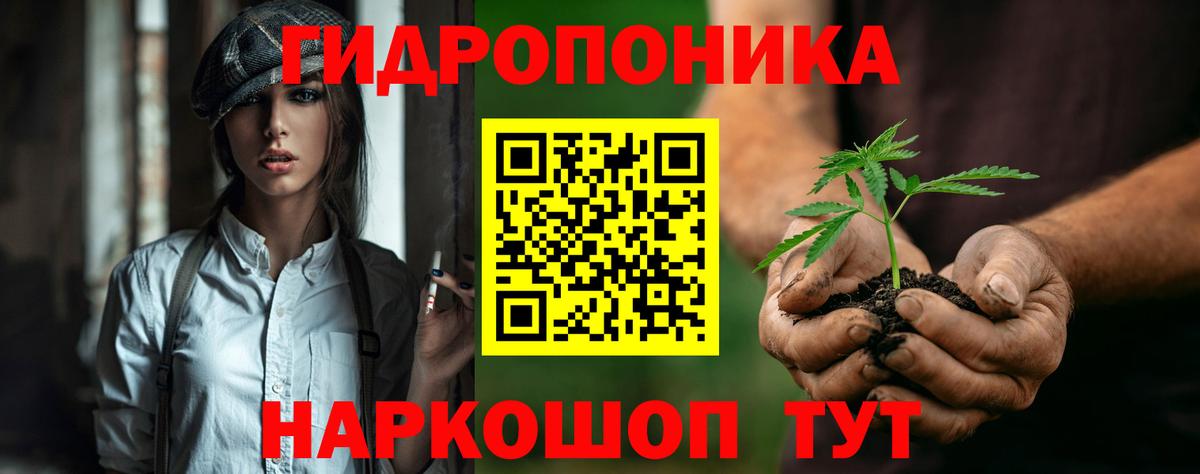 Марихуана индика  Вход с VPN  Бошки марихуана MAZAR  Грязи  МАРИХУАНА Bruce Banner 